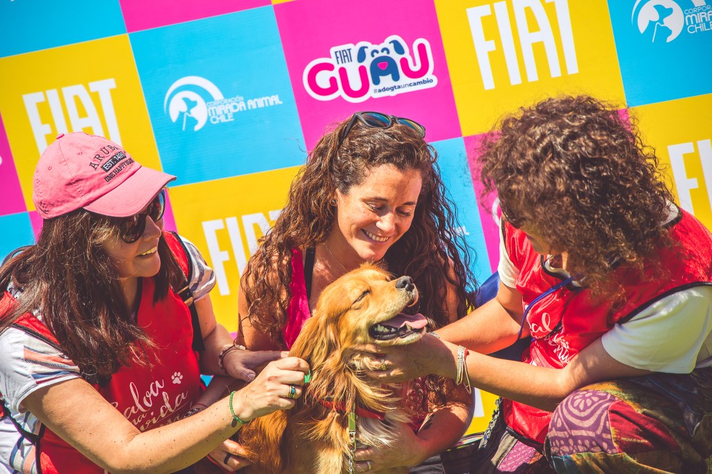 FIAT vuelve comprometido con la lucha contra el abandono y el maltrato de&nbsp;perros