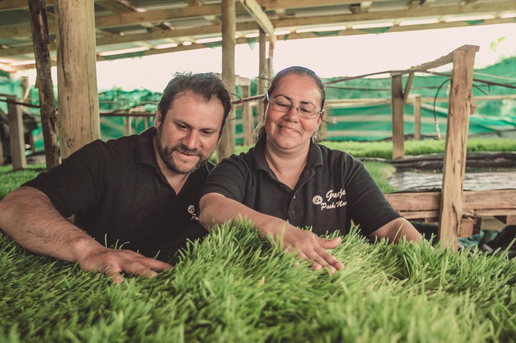 Se abren las postulaciones para encontrar a los Nuevos Héroes que sucederán a los Granjeros del&nbsp;Futuro.