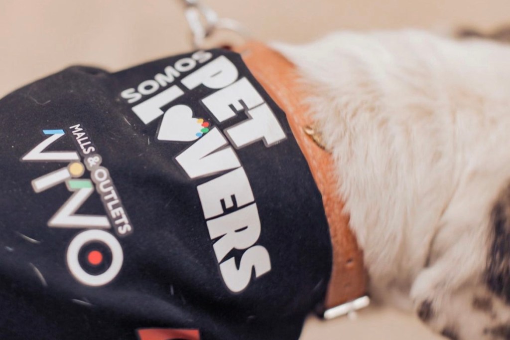 En VIVO Los Trapenses se vivirá una nueva jornada de adopción de&nbsp;mascotas.