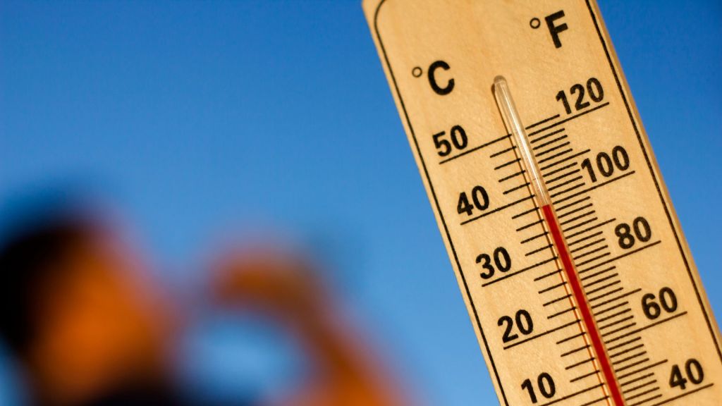 Con una ola de calor que no deja de sorprender a la zona centro del país y temperaturas sobre el promedio para la época estival a lo largo del país, es necesario poner atención a nuestro bienestar.