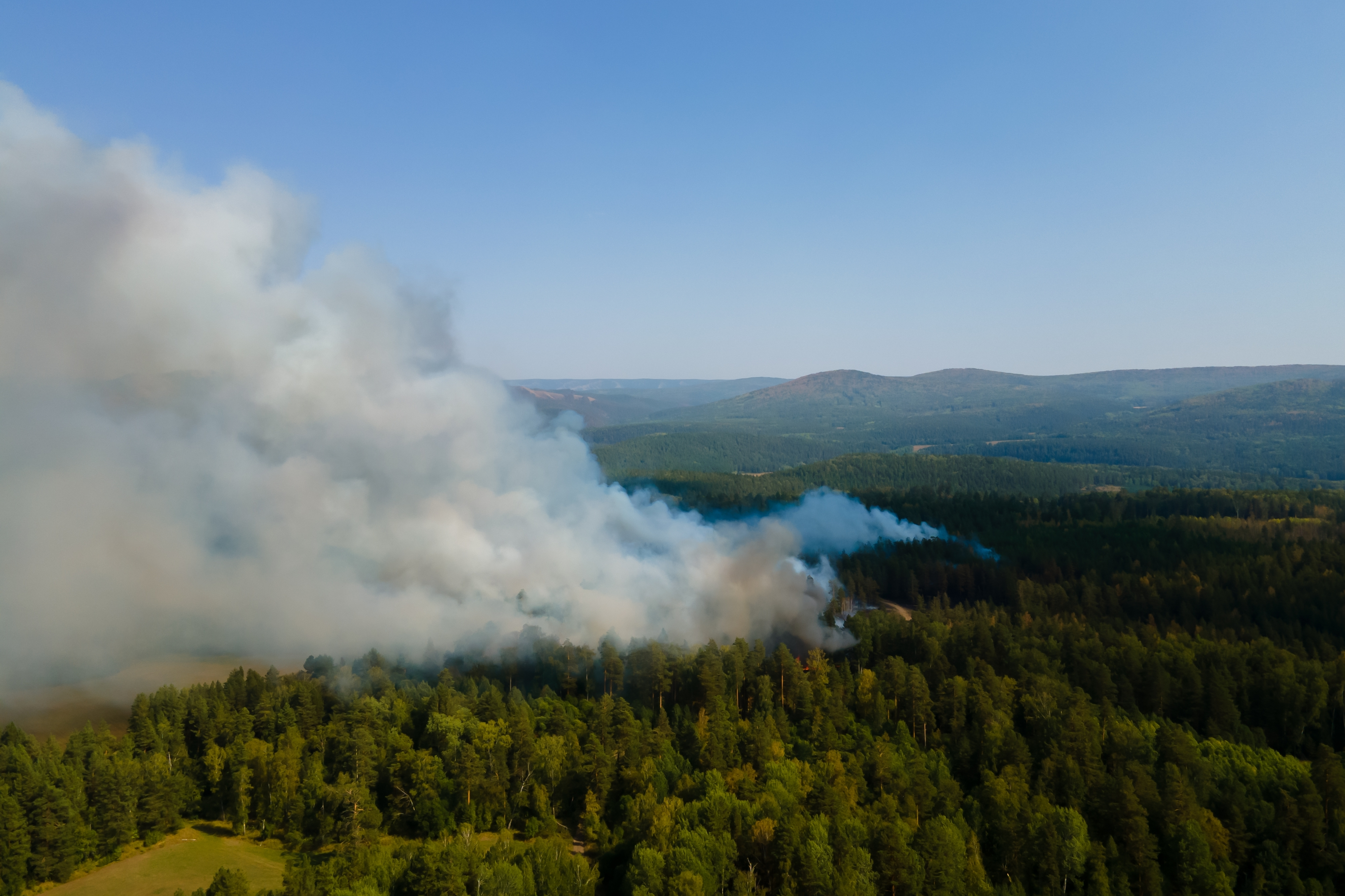 Especialistas llaman a redoblar esfuerzos en la prevención de incendios forestales