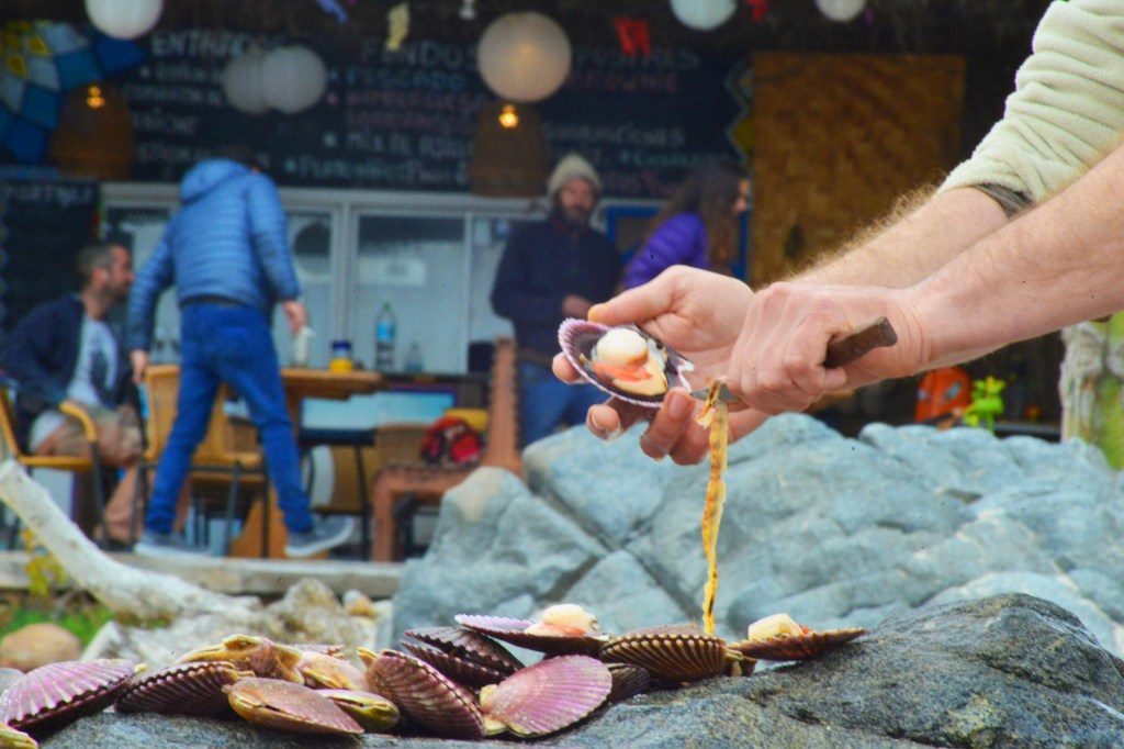 Bahía Inglesa Festival