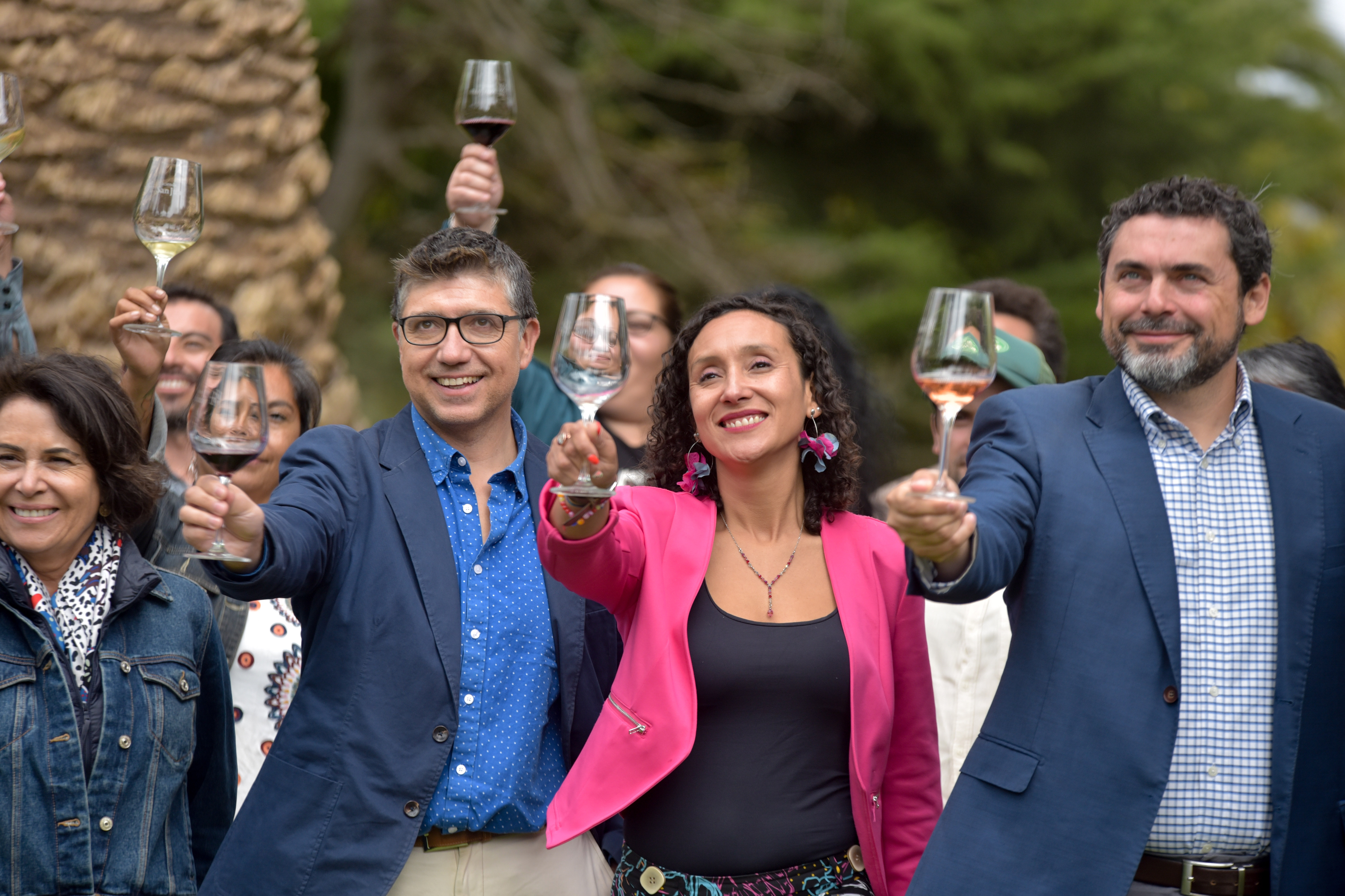 Invitan a la 4º versión de Fiesta de la Vendimia del Valle de San Antonio 2024