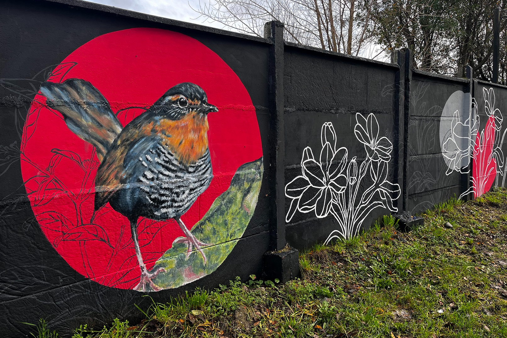 Naturaleza y sostenibilidad inspiran mural de 25 metros inaugurado en Llanquihue