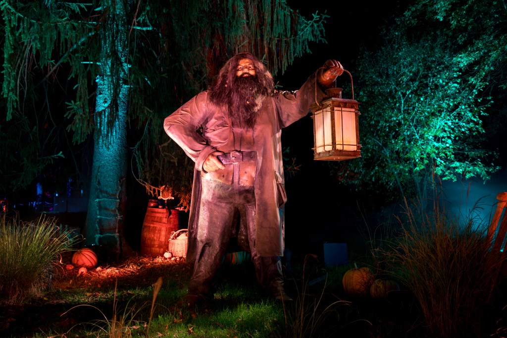 Harry Potter en Chile